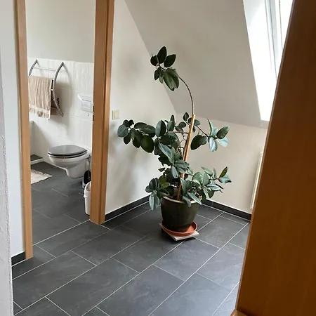Apartment Sasani *